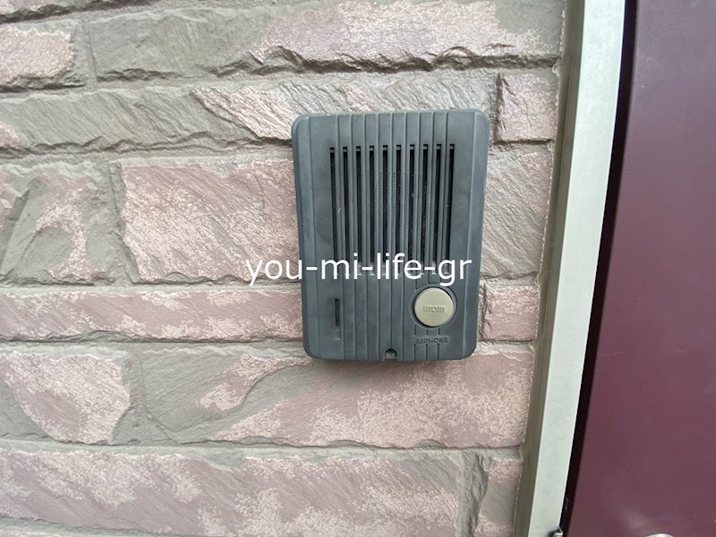 フレイジェⅢ その他1