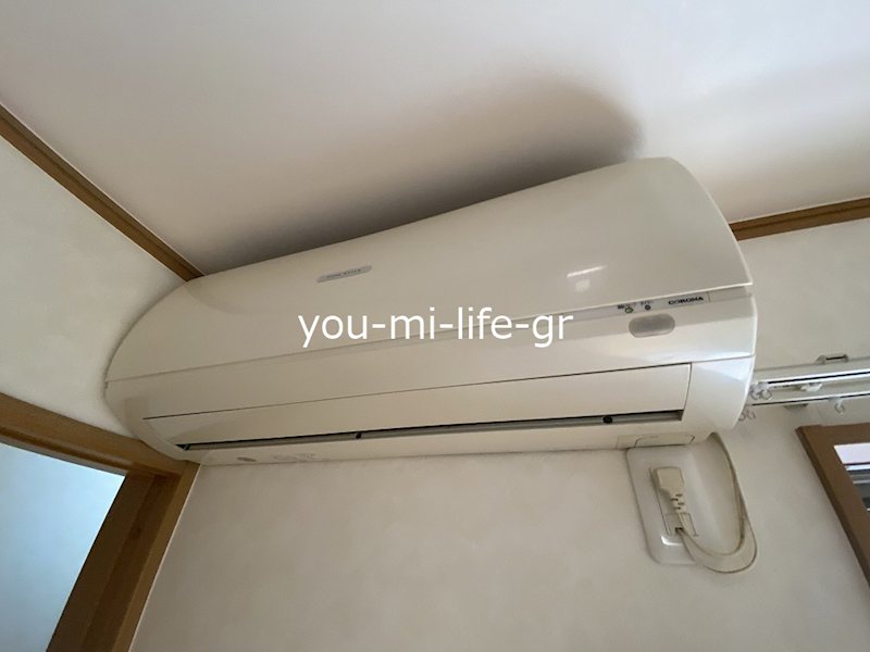 フレイジェⅢ その他4