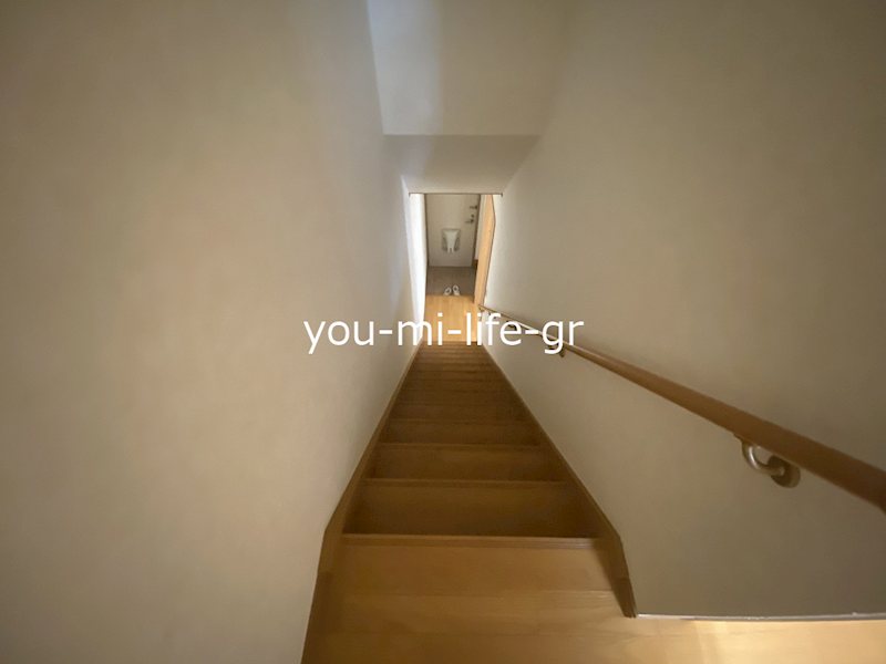 フレイジェⅢ 玄関