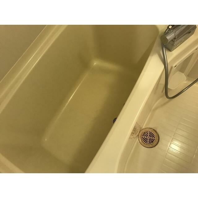 マルヴィエント湘南 その他6