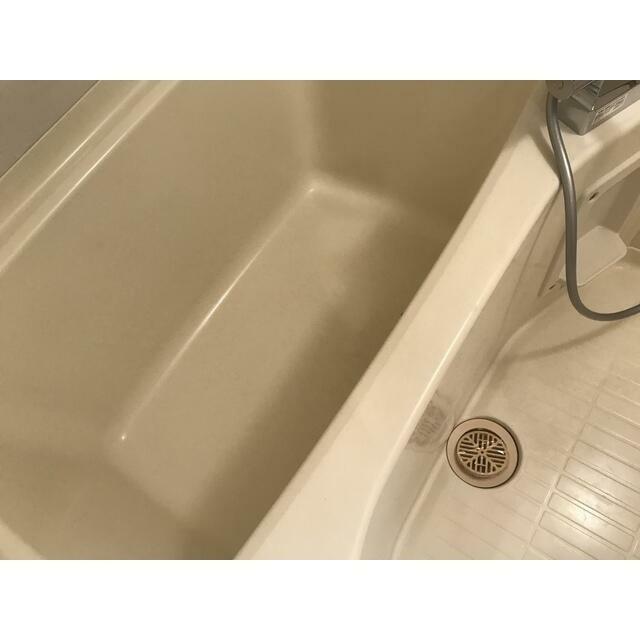 マルヴィエント湘南 その他6