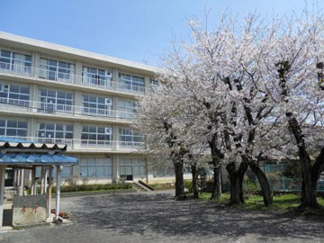 オリエンタルドエル　Ⅱ 周辺画像3