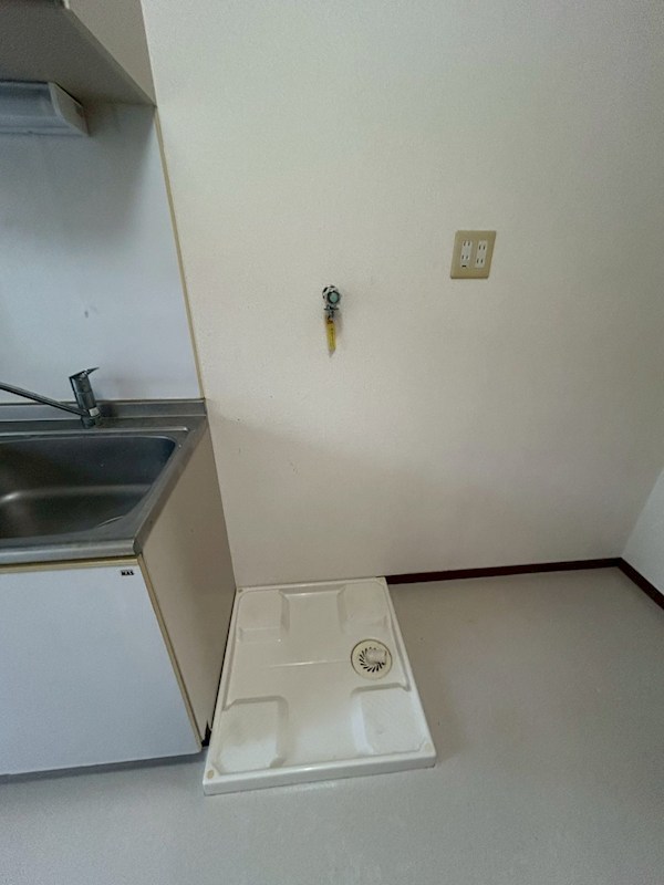 ベルフラワー その他4