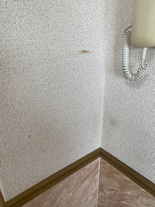 ゴールドウィン湘南 その他