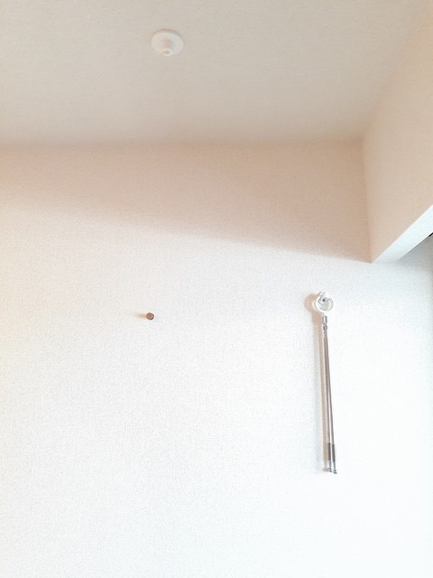 ミニオン　パーク　リア その他4