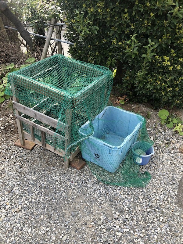 コーポ栄 その他外観1