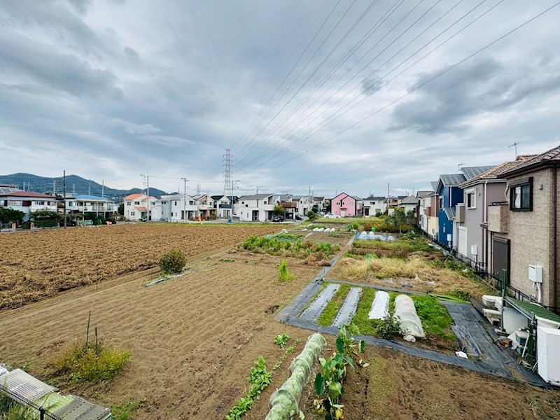 セレーノコトー その他4