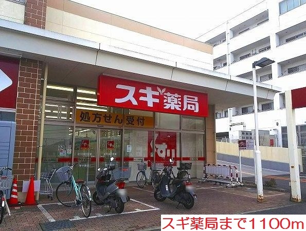 スギ薬局まで1100m カリダ その他外観3