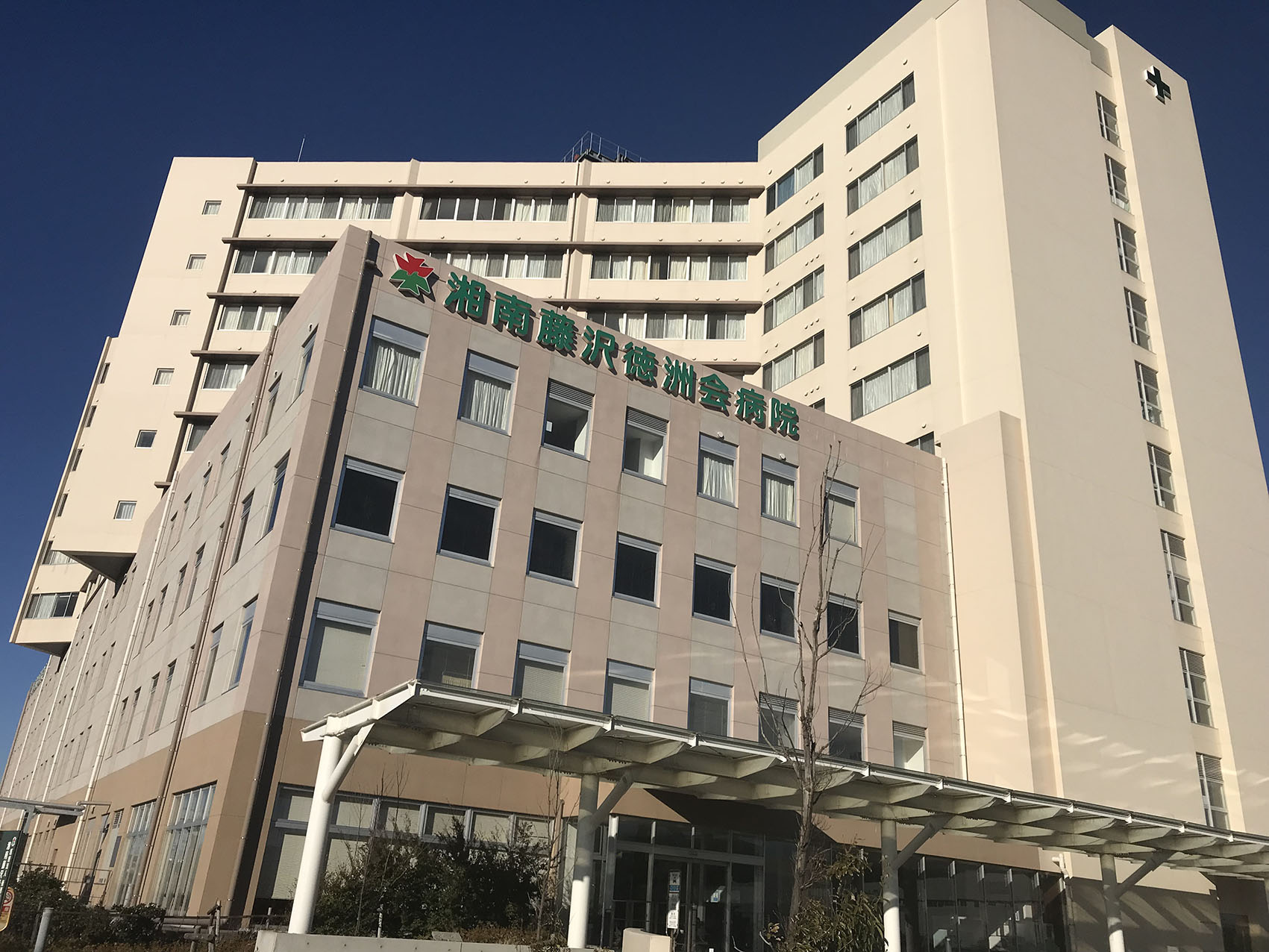 リストレジデンス辻堂タワー 周辺画像8