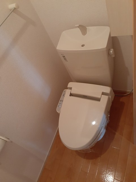 リーリエⅠ その他4