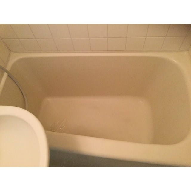 バス リファレンス愛甲石田  風呂画像