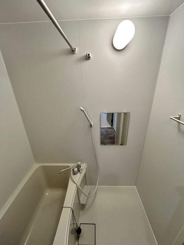 アザーレ・パッシオ本厚木B 風呂画像