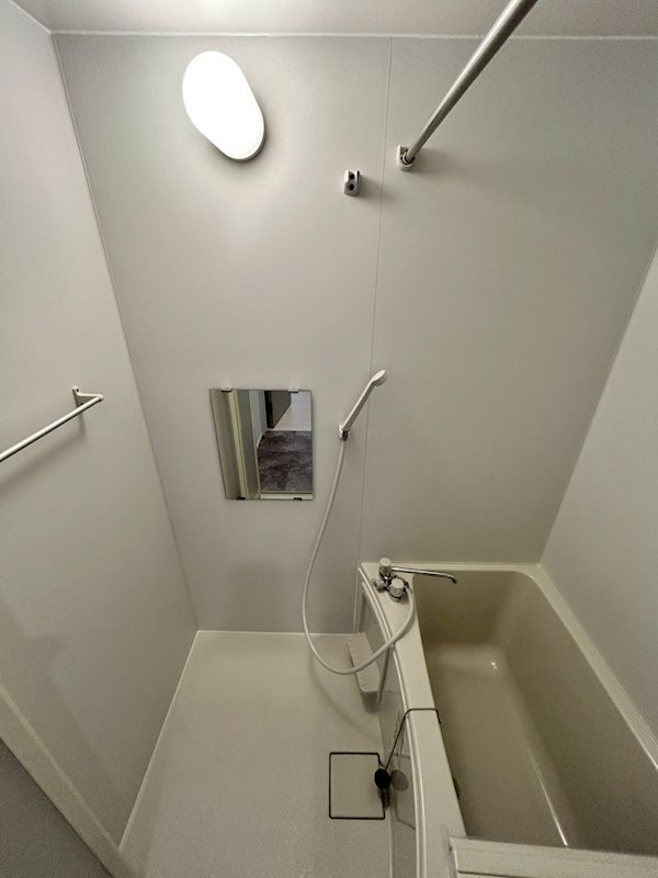 アザーレ・パッシオ本厚木B 風呂画像