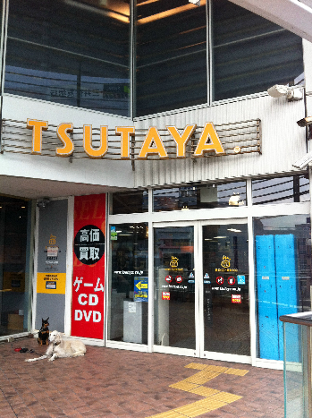 TSUTAYA 茅ヶ崎駅前店 フジスカイ幸町 周辺画像5