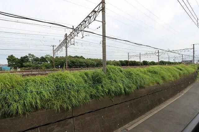 メゾン麗山Ｂ その他14