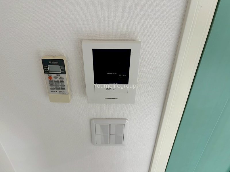 ELVITA SHONAN その他1