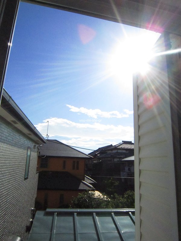 エリーナ南原 その他4