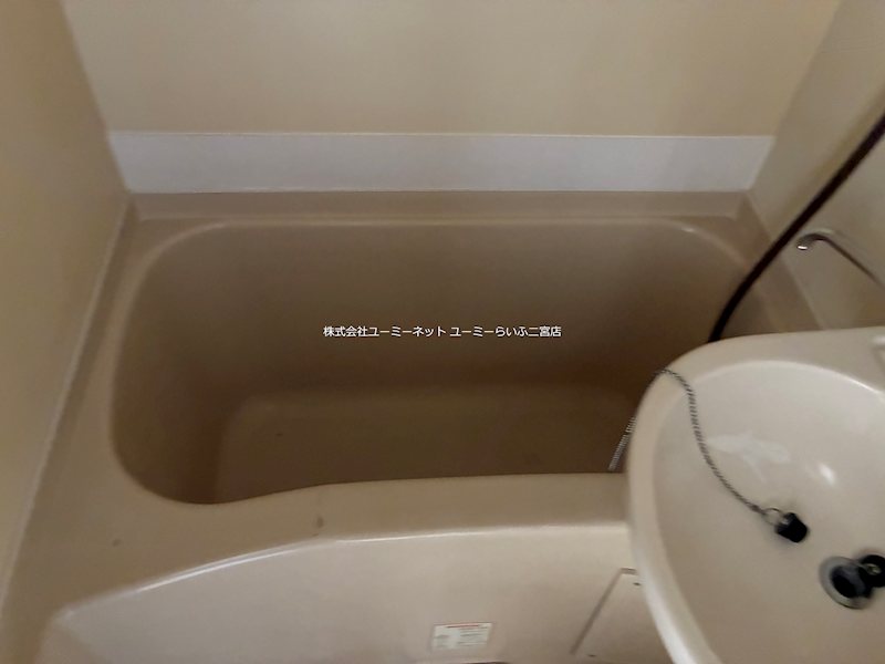 ゼフィランサス大磯 風呂画像