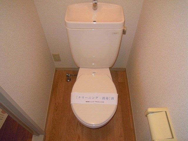 レグルス・オザワA その他2