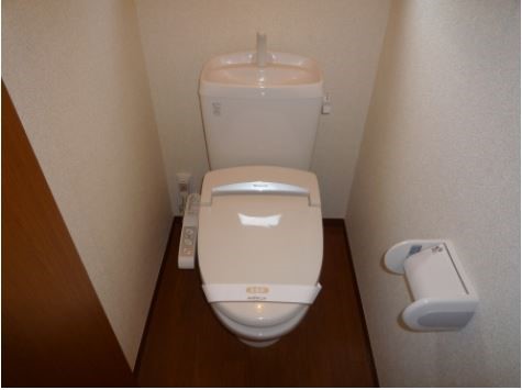四葉の光 その他4