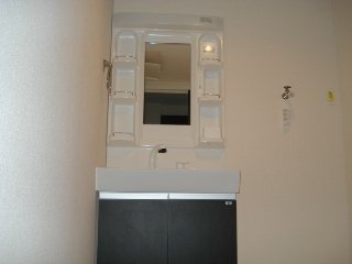 洗髪洗面化粧台 グリーンヴィレッジ その他1