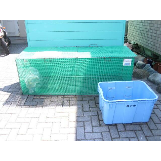 湘南パシフィックハイツ その他4
