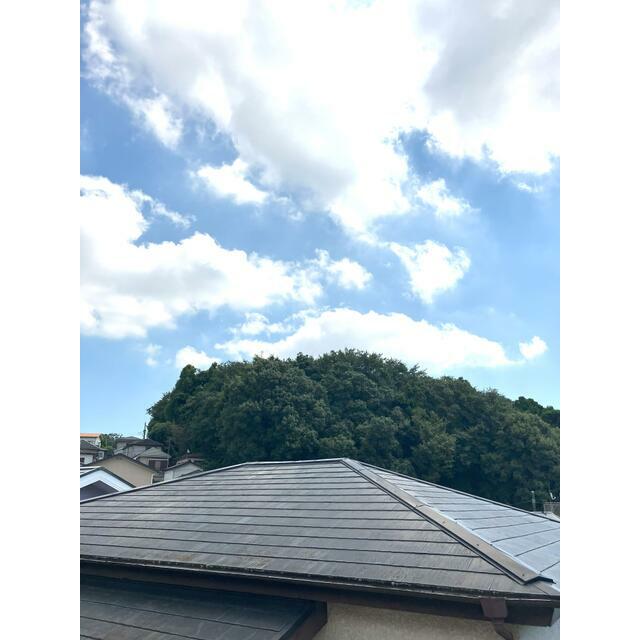 アナナスヒルズ その他4