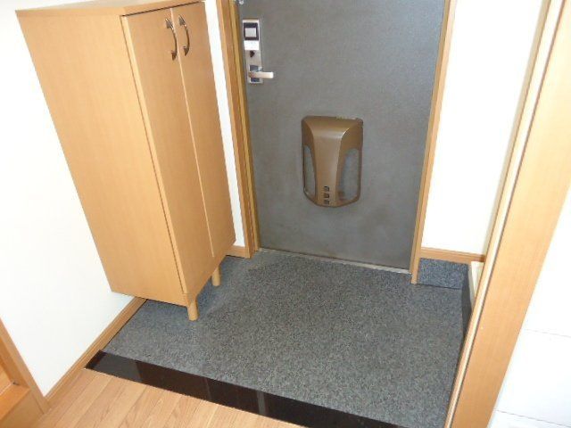 Ｒｅｙ・Ｄｒｅａｍｓ その他1