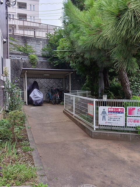 カリーノ・キティー その他7