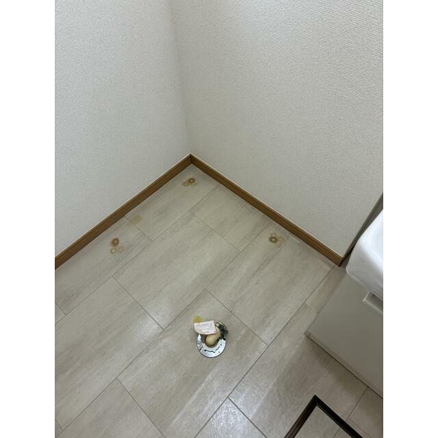 エアリクス その他8