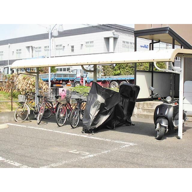 アムール その他7