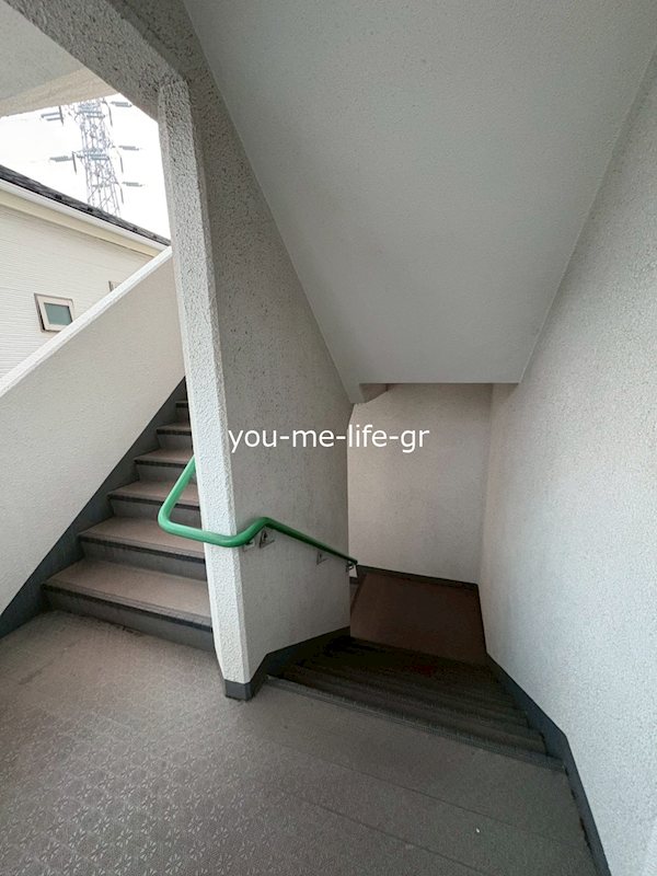 ドミール湘南 その他外観5