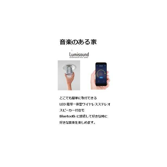 Biuetoothワイヤレスステレオスピーカー付き住宅 その他8