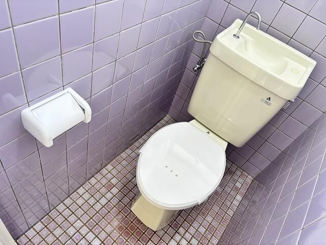 その他29