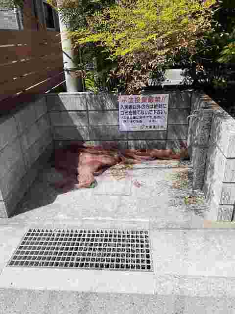 フレア・エクレール湘南 その他4