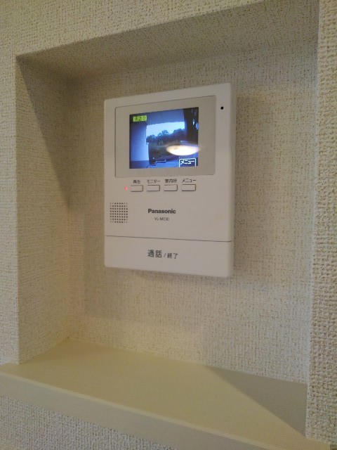 ルアナ その他6