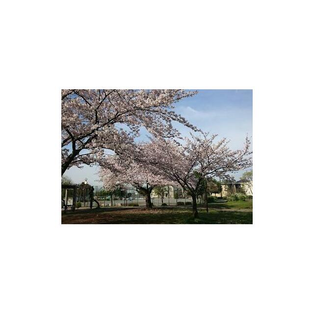 天神ドミール21 周辺画像8