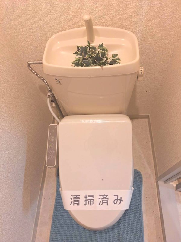 シャトー中沼 その他1