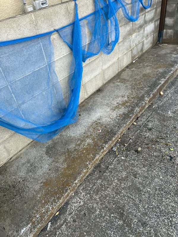 シャトー津田 その他外観3