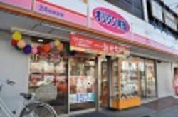 メゾンアイリス湘南 その他15