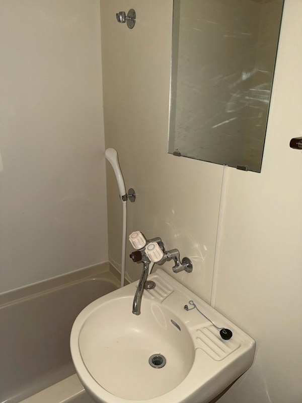 カールヘルム その他1