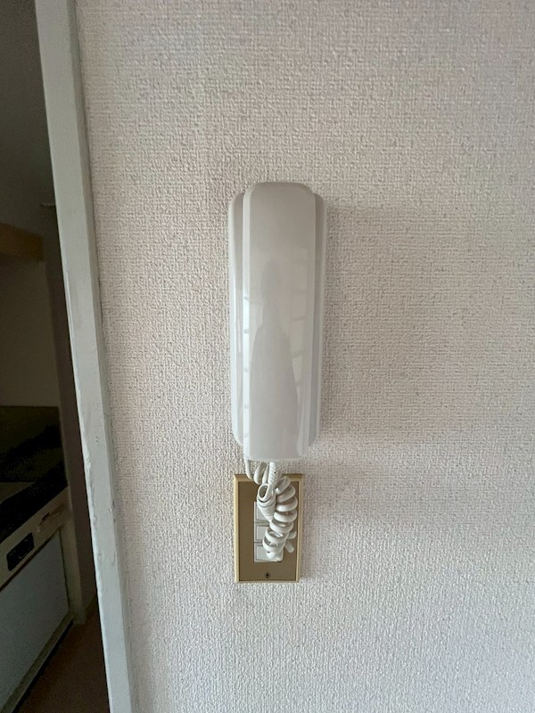 カールヘルム その他1