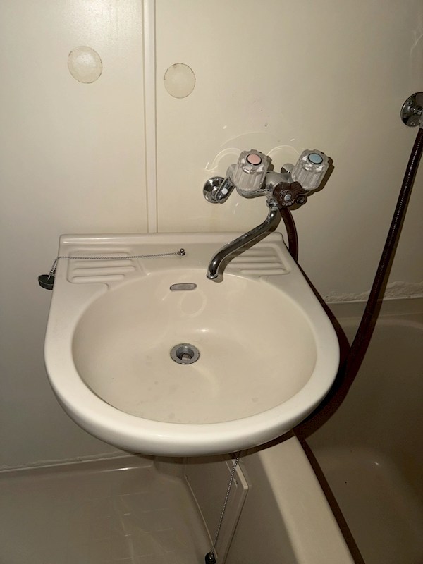 カールヘルム その他2