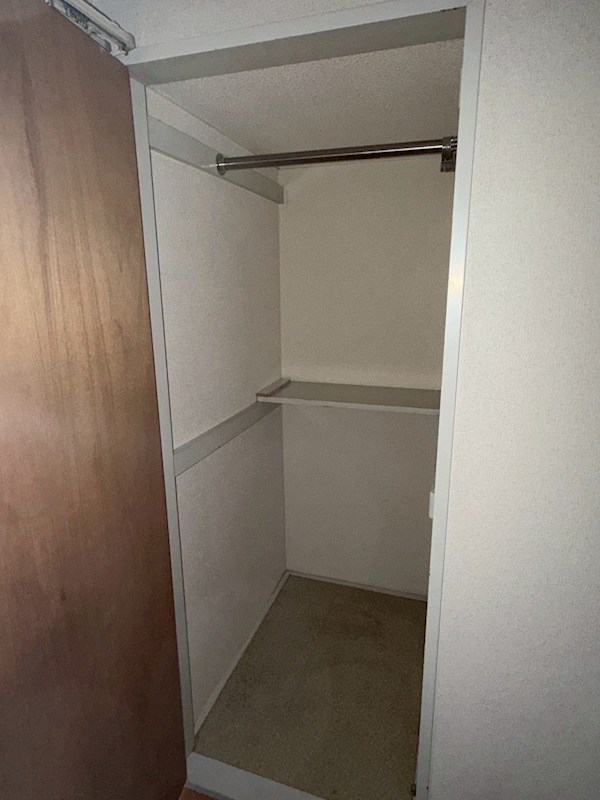 カールヘルム その他3