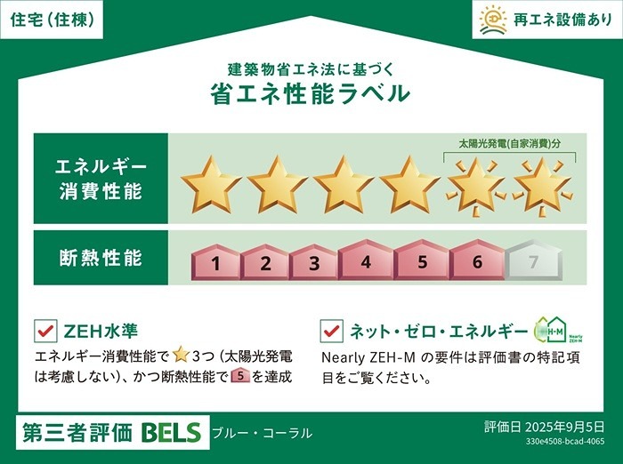 ブルー・コーラル その他2
