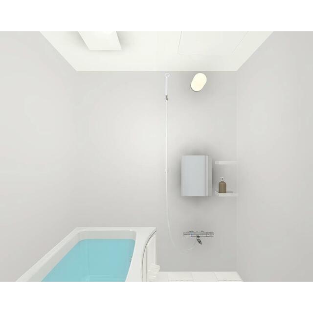 バス メビウステラス 風呂画像