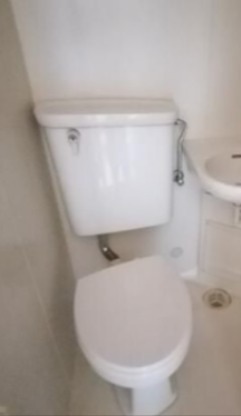 マインハイム・スエヨシ その他3