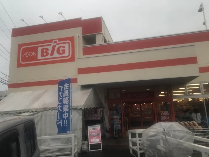 The Big(ザ ビッグ) 小田原寿町店 シティハイム アプリコット 周辺画像1