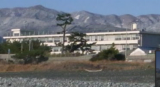 小田原市立山王小学校 シティハイム アプリコット 周辺画像3
