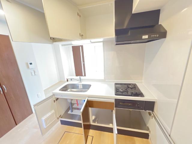 ディモーラ その他14